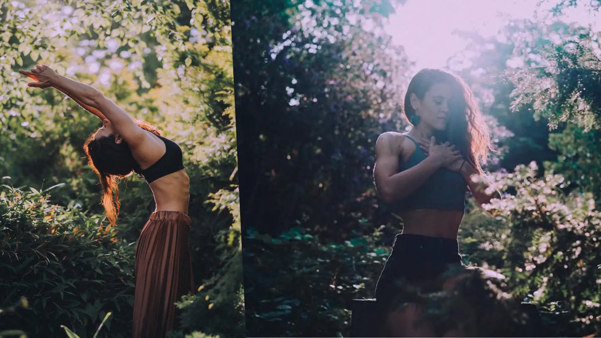 Choosing to Fly: The Journey Toward Inner Freedom