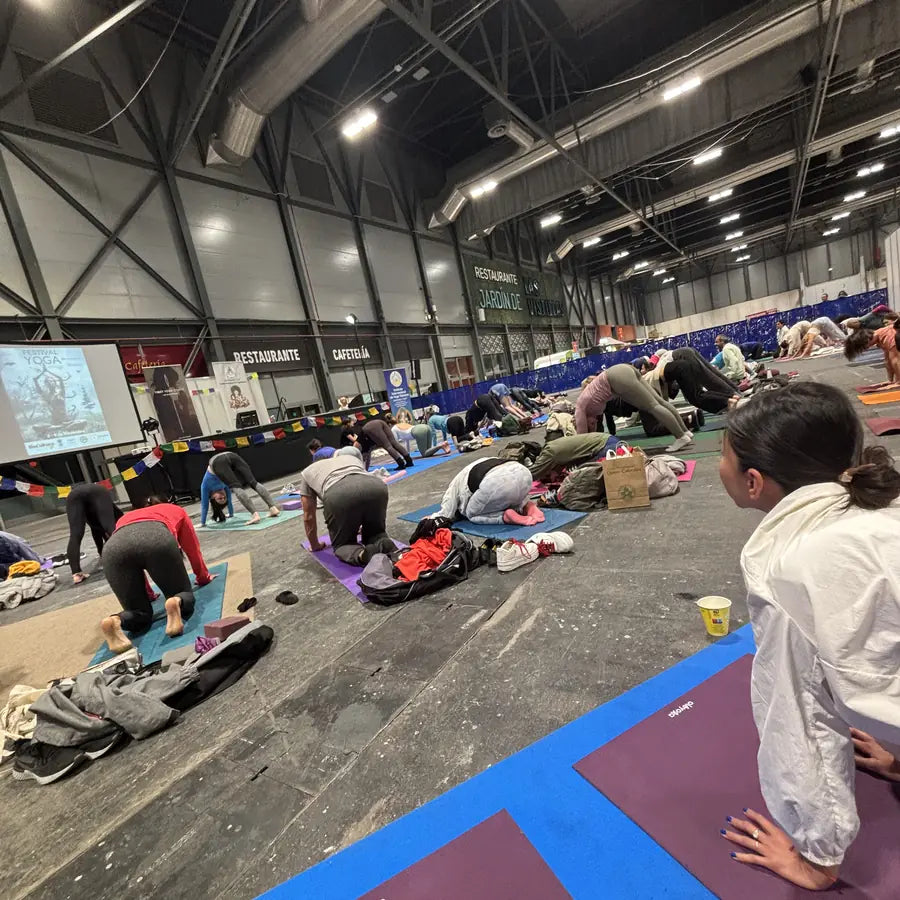 Yoga mats laid out on a trade-fair floor before a class