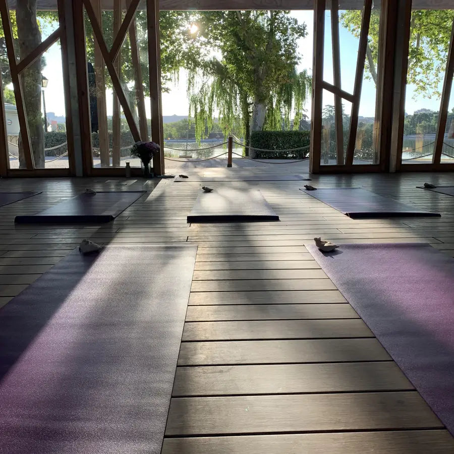 Empty mats in a glass hall at dawn beside a lake